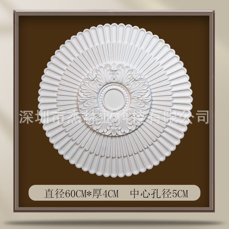 019 태양광 조명 패널, 직경 60cm