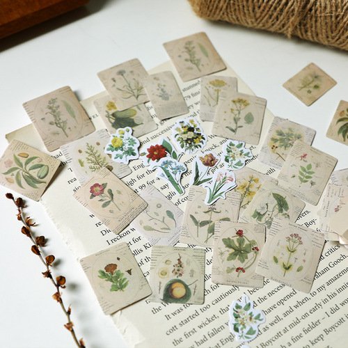 Early Foam Boxed Sticker Set Time Note Series 300 Diary DIY Decorative Sealing Stickers