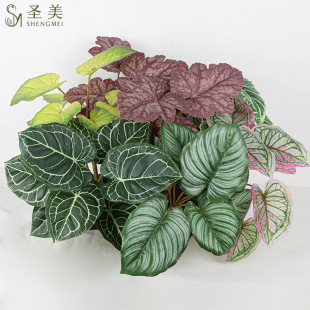 �����̖9�^�Gֲ���������҃�ϲ�����쾰�Ҿ��b[���Gֲ���K�~