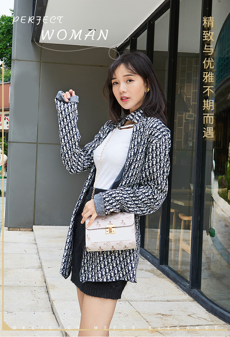272g Weight Synthetic Leather Lining Material Lock clasp Closure Type Single Shoulder Strap Strap Type Women's Mini Pu Leather Animal Streetwear Square Lock Clasp Shoulder Bag
