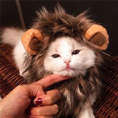 Cat Lion Head Cover Cat Hat Cute Funny Pet Photo Hair Accessories Puppy Dress Up Clothing Ornaments