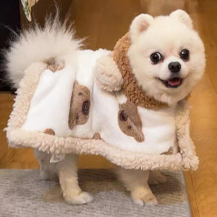 Küçük ve orta boy köpekler için kışlık köpek kıyafetleri, kediler için peluş uyku tulumları, mercan rengi kadife pelerinler, soğuğa dayanıklı ve sıcak tutan pelerinler