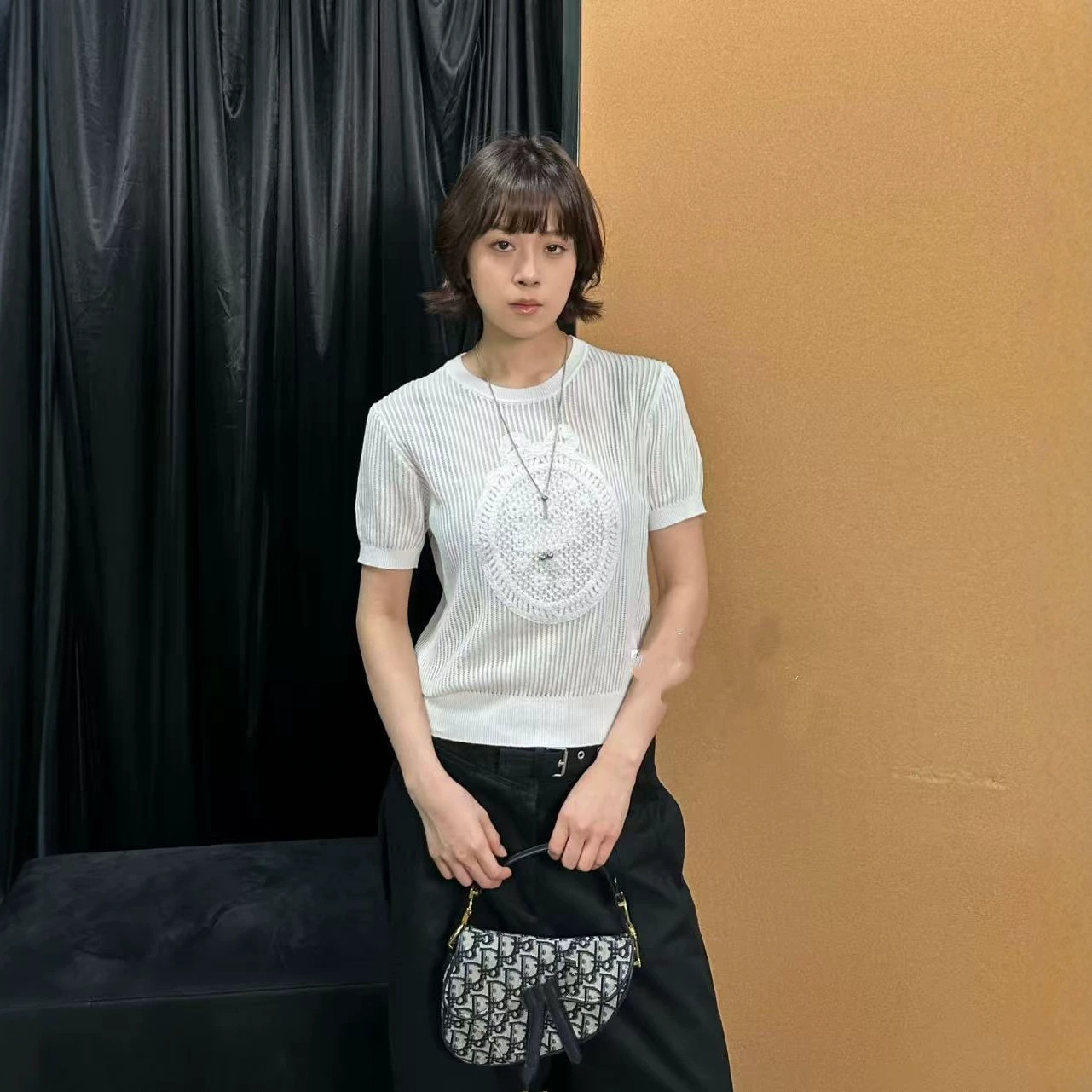 南油高端女装 26新款D家刺绣针织短袖百搭圆领时尚休闲上衣轻薄款