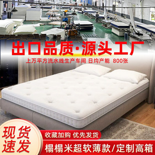 Tatami Ultra-Soft Thin Mattress Independent Spring 8cm 10cm 12cm 15cm High Box Mattress