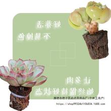 ����̿�d�o������������|���d���B����K�Nֲ̼�ޠI�B������