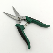 ��Ӽ� 8����Ӽ� 늹��� 늾��� �FƤ�� ��֦�� ���a�S��