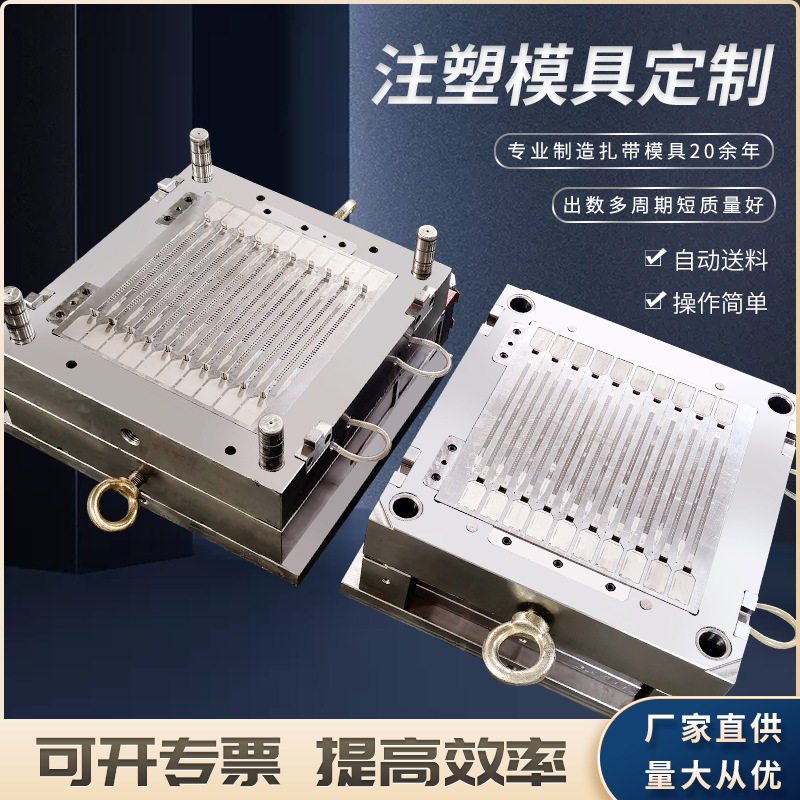 厂家供应注塑模具 嵌片扎带模具热流道尼龙扎带模具 汽车扎带模具