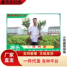 �������lɰ�ǽ��������o��ɰ������ɳ�ǽ��������箔��Y��