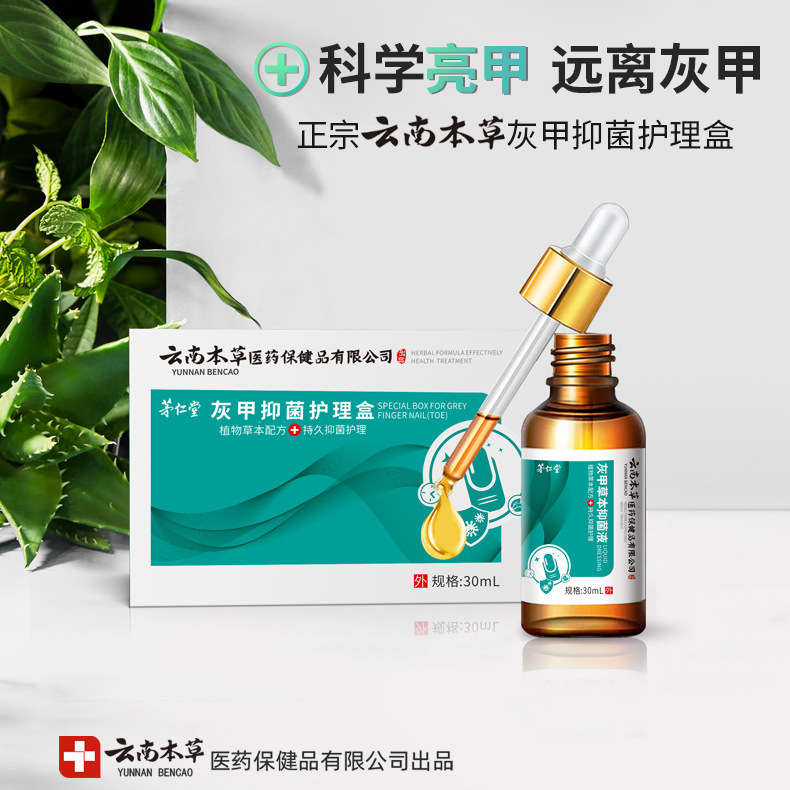 在庫あり Maorentang 雲南ハーブ爪真菌症ケアソリューション生爪ハーブ抗菌液体フットケア剤卸売配送|undefined