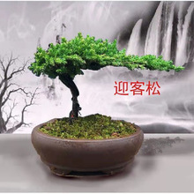 ӭ��������辰ӭ�����҃����ɰصذ������辰�k����ͥԺ���^�辰