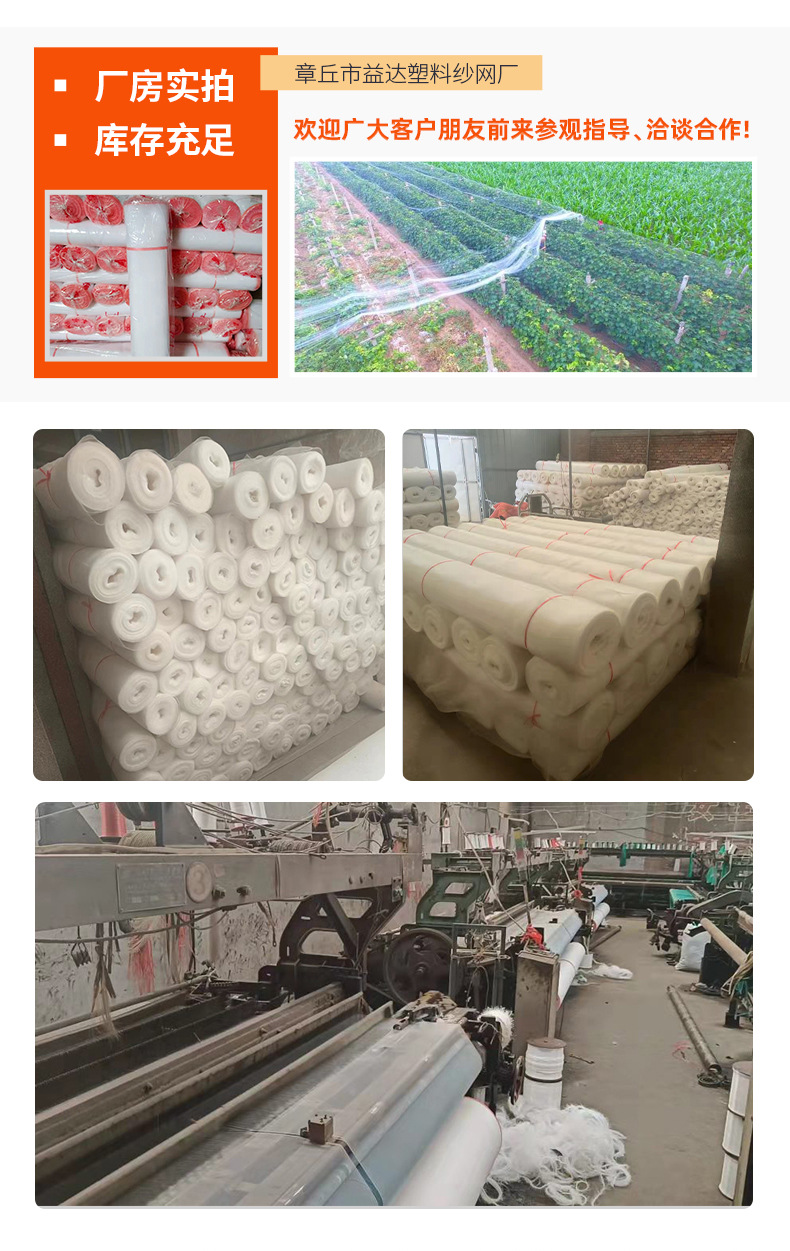 防虫网_12