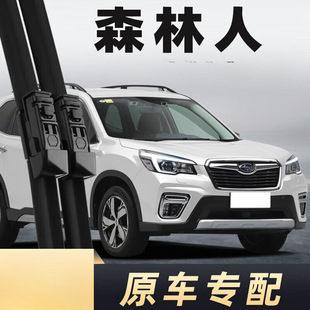 �m��˹����ɭ����������m�����19��20��21��ˢ24�lƬ2019-2021
