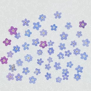 ������������ɻ�������ֲ��˱�ins�������׵��z�ƷѺ��DIY����
