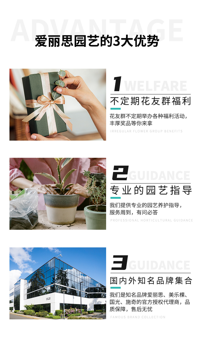 中钵薄托_14.jpg