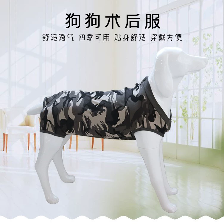 Amazon New Dogs Послеоперационная одежда с защитой от лизания Одежда для стерилизации Одежда для отлучения от груди Защита от ран Одежда для домашних животных
