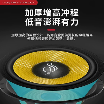 Car speaker/subwoofer – Special Car-Specific Audio System