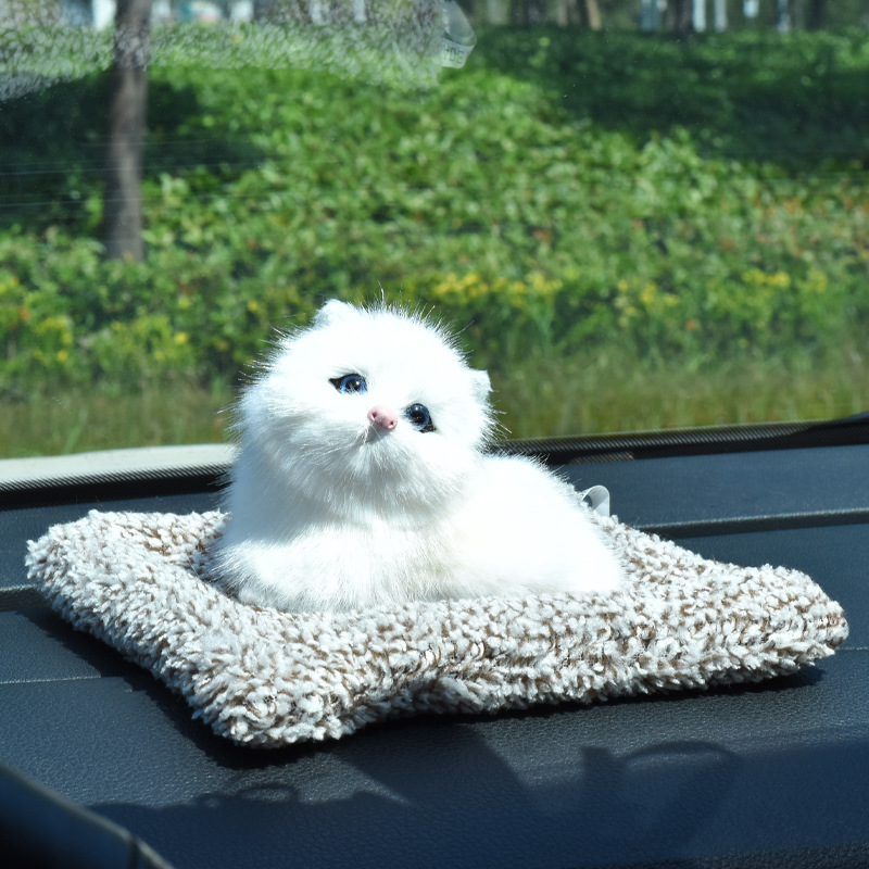 누워있는 고양이 12는 울 수 있다