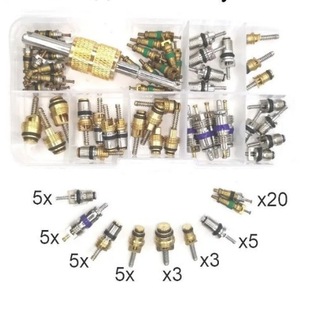 Car Air Conditioner Valve Core Box 51+1 Piece Set