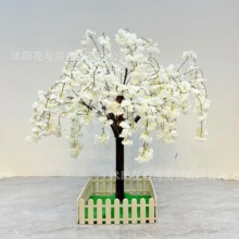 �羳��������ѻ����һ����S�٘��̈������b�ֱ���g�쾰