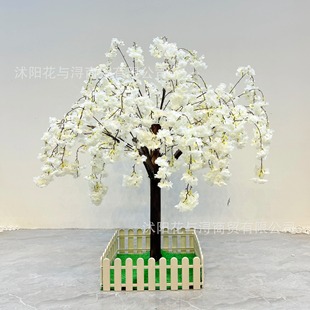 �羳��������ѻ����һ����S�٘��̈������b�ֱ���g�쾰