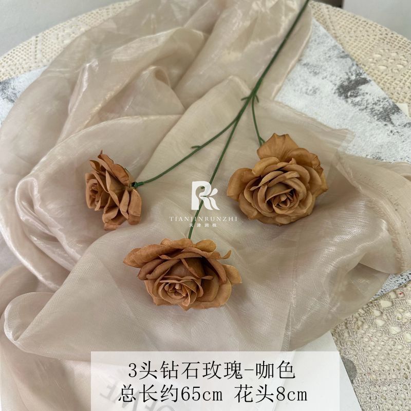 일반 다이아몬드 로즈 커피 색상