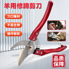友牧 修羊蹄子剪刀修蹄钳子兽用剪蹄剪脚趾修羊蹄指甲工具