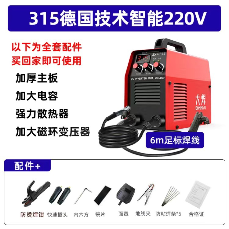 250 soldadora eléctrica pequeña portátil 220v doméstica 315 mini soldadora eléctrica DC de cobre completa image 19