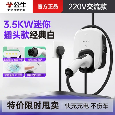 Elektrikli avtomobil şarj stansiyaları: home-use AC charging station - 35kw-ac-charging-stationmini-plug-model-coconut-white-220v-single-phase-meter-32a-6minstallation-not-included