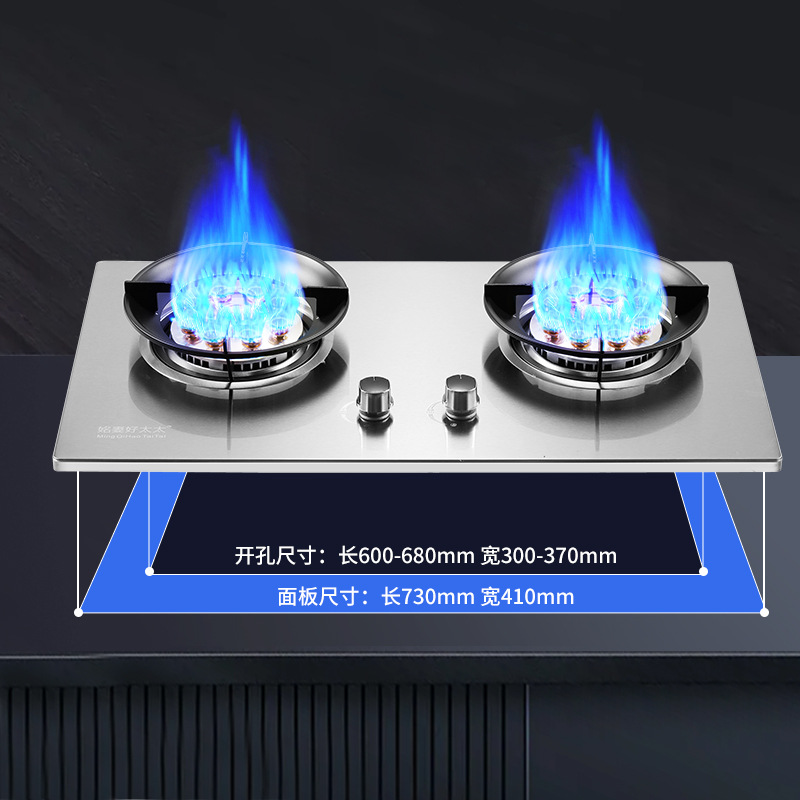 Gas Stove Home Use Countertop and Built-in Dual-Fuel Natural Gas and LPG Dual-Intensity Stove with Coal Gas Wholesale CE Certified