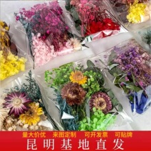 �����M���Ǹɻ��^diy�b���޹Ϟ�T���F�ȶY���ֹ�����������