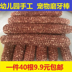 农家玉米芯干玉米棒子芯幼儿园手工课宠物饲料培养菌种苞谷芯