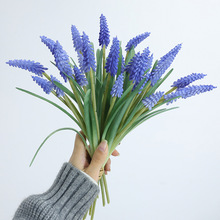 �羳ܛ�z6�^�����L���ӻ�������ٻ��Ҿ����Բ廨������ϻ����l