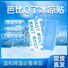 暖贴、暖宝宝;日用冰贴;保健器具配件
