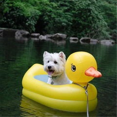 メーカーの現物卸売りの空気入れの小さいアヒルの浴槽の赤ちゃんは風呂に入ります。
