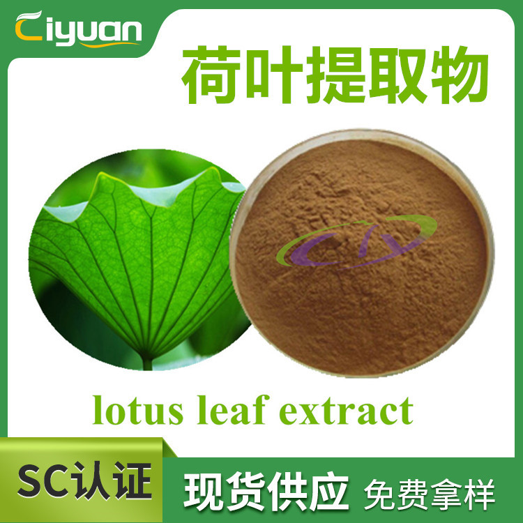 莲叶提取物 lotus leaf extract 荷叶提取物优质品原料多规格现货
