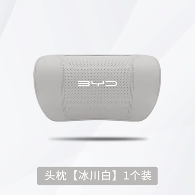 Headrest – and Tang Special Headrest Seat - byd-glacier-white-1-headrest