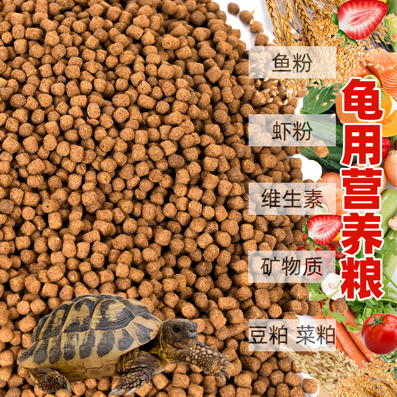 작은거북이사료, 만능거북이사료, 생선, 건새우, 어린거북이, 브라질거북이, 풀거북이, 거북이사료, 과립특식