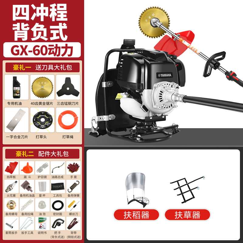 Four-stroke piggyback + grass and Rice YMH GX-60