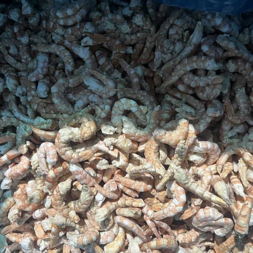 Сублимированные креветки для собак, корм для собак, смешанный корм, оптом, сублимированные лакомства для кошек, котят, щенков, морские креветки