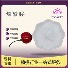 ������99% VB3 ʳƷ/��ױƷ��ԭ�� ά����B3 ������� �ֻ���Ӧ