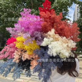 鲜花花艺制品;永生花;干花