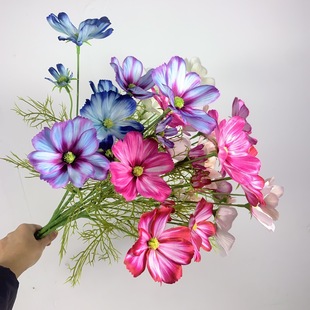 ��ɣ�����¼Ҿ��bٻ�3D��ӡ��c��ˇ��˹�����l�W�t����õ��