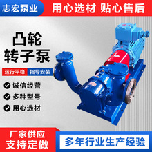 凸轮转子泵不锈钢凸轮转子泵食品转子泵糖浆面糊酱料电动输送泵