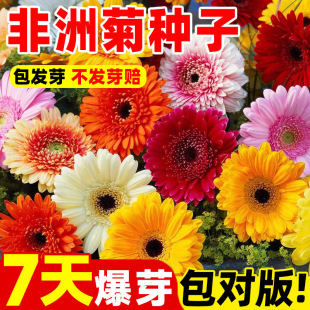 ���羳��؛�����޾շN���ذ���޾ջ��N���ļ��׷N�������̨����