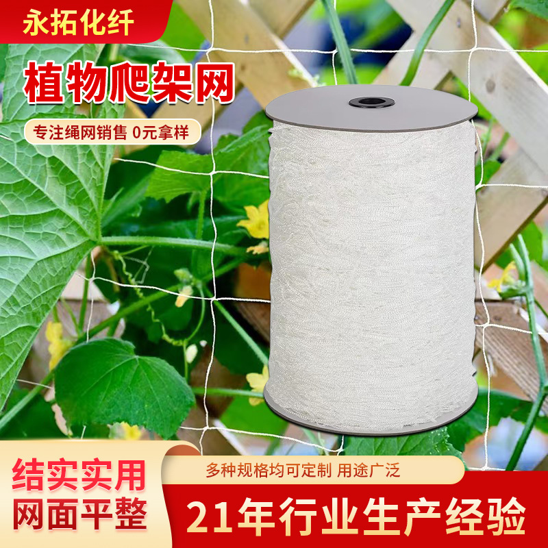 植物爬藤网 绿色园艺网 花卉格子网 支架网 蔬菜抗风抗倒伏网