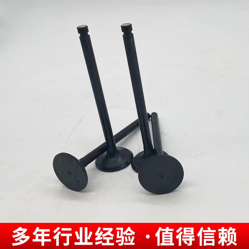 排气门0.38kg新柴叉车配件