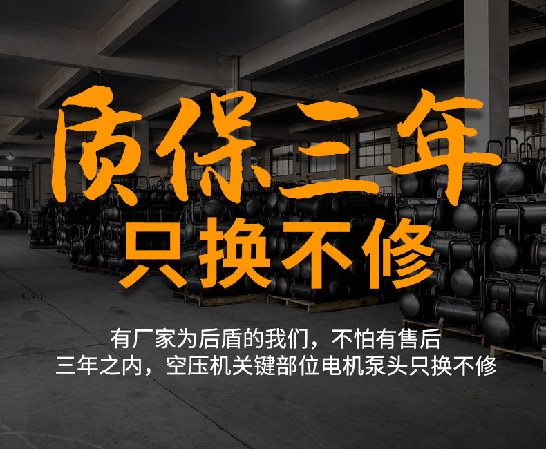 Shengst Oil-Free Air Compressor Bass Portable Air Pump 220V Professional Woodworking Decoration Air Compressor Small