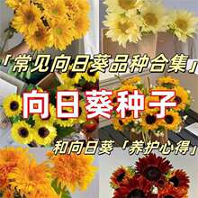 �������տ��N�Ӷ�ɫ���U��ʳ�ÿ�����ե�;Gֲ�����^�p������
