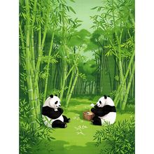 �ɰ���è���ֺ�����ֽǽ�����ڼ��ó����ݶ�����ճ��ǽ��