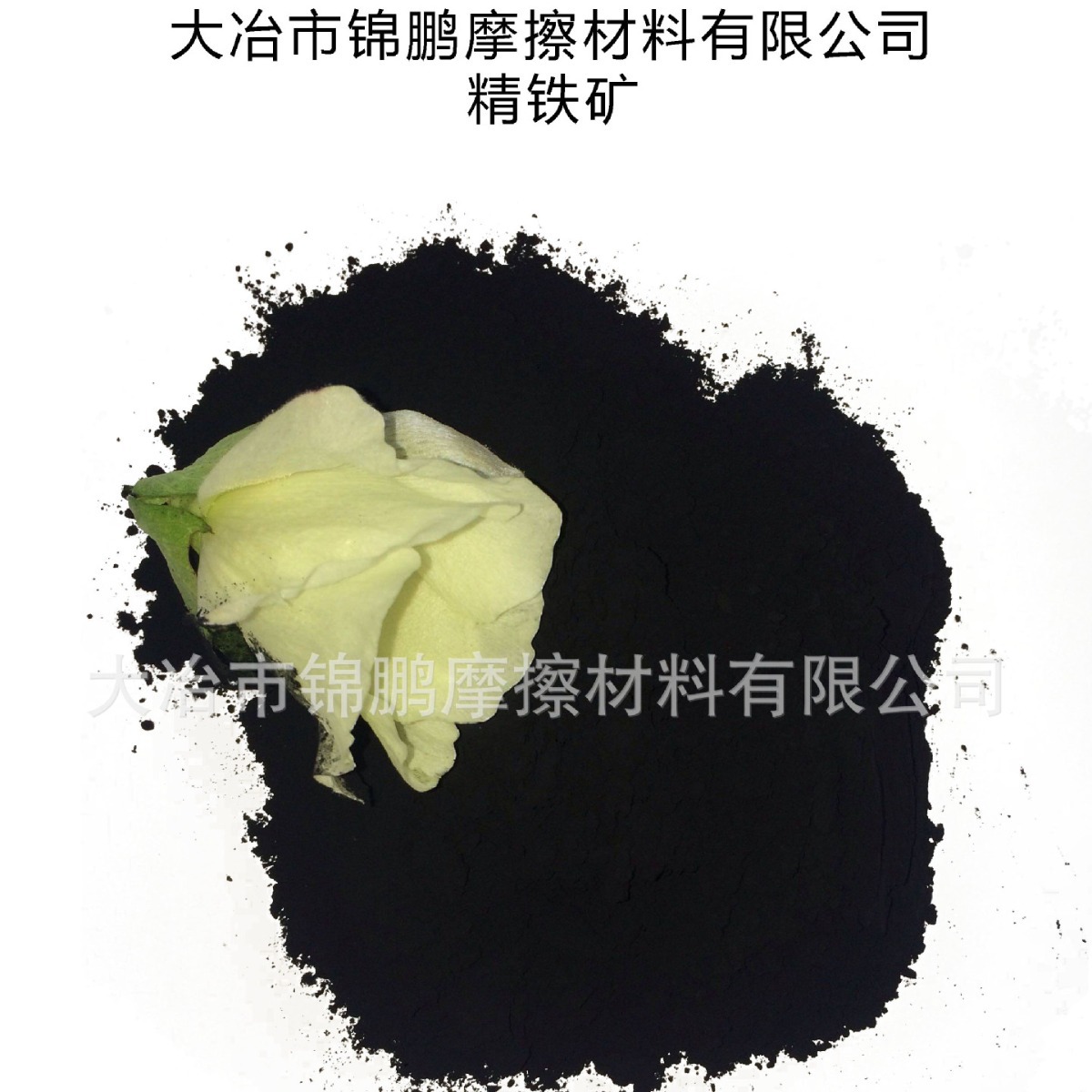 精铁矿粉  Fine iron ore powder